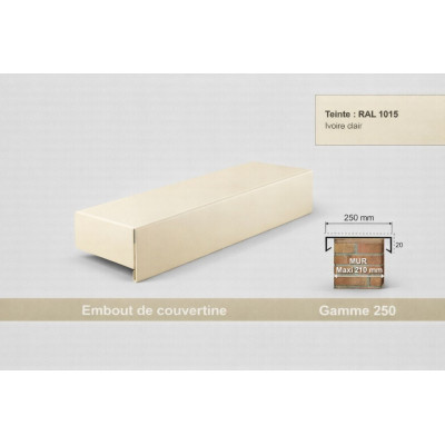 Embout de couvertine 250 mm – Aluminium & Acier | SuissePliage